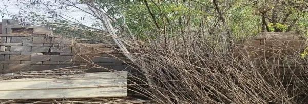 bf2b752dcbb939f0585fa40991bbd380.jpg bf2b752dcbb939f0585fa40991bbd380.jpg