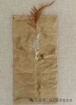 0ddca58537c7fb4bd2e5a32b73d04434.jpg 0ddca58537c7fb4bd2e5a32b73d04434.jpg